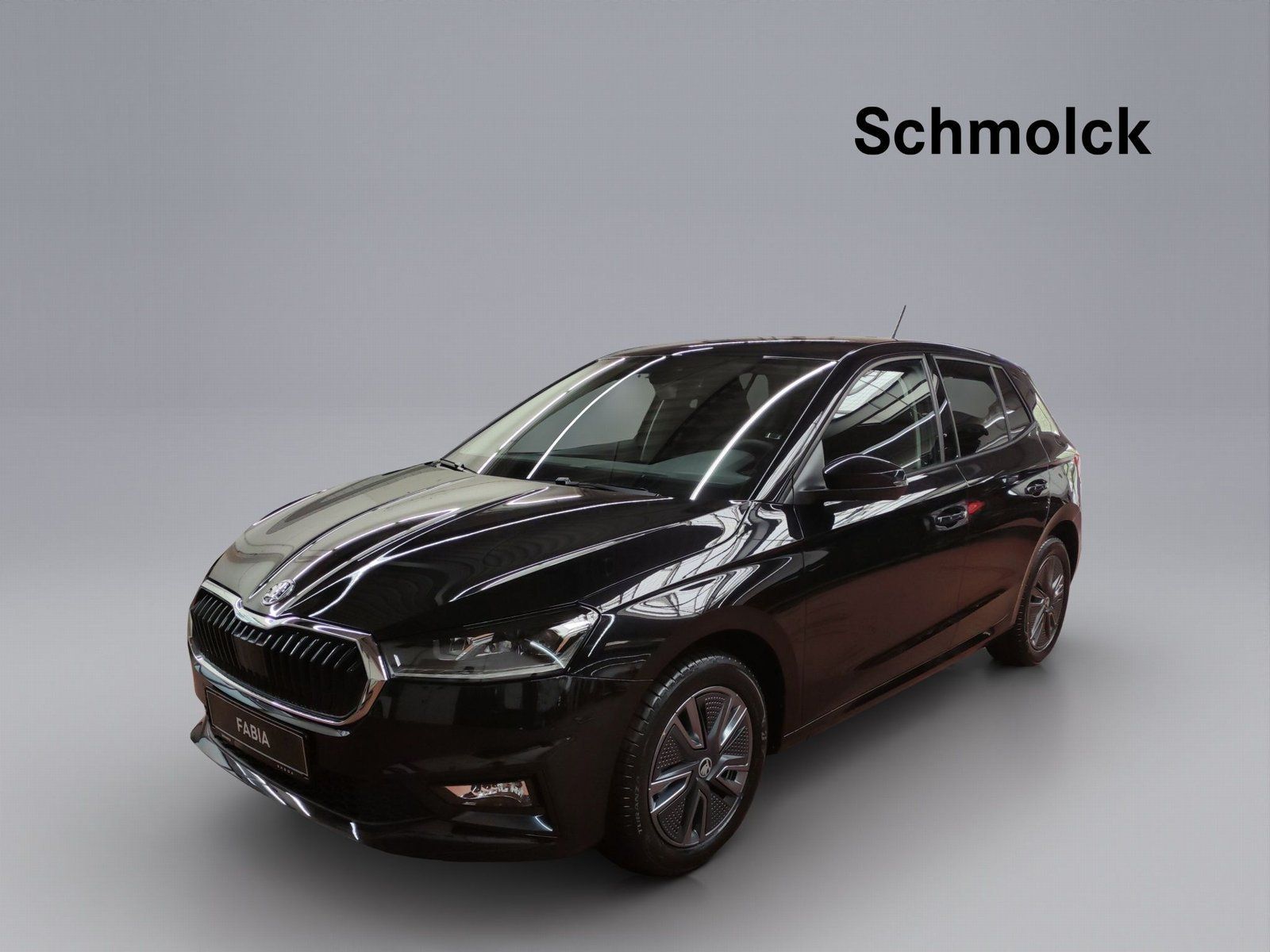Skoda Fabia Balance 1.0 TSI DSG 116 PS LED ACC SHZ