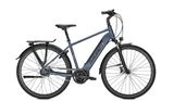 Raleigh Bristol 5 stoneblue matt 2022 - | L - Raleigh E-Bikes