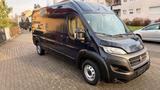 Fiat Ducato Maxi/Klima/Navi/Camera/140PS H2/L4 - Fiat Ducato: 14