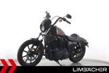 Harley-Davidson SPORTSTER XL 1200 NS IRON - Lampenmaske - HARLEY-DAVIDSON SPORTSTER IRON