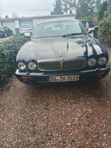 Jaguar Daimler 4.0 V8 Lang - - Jaguar Daimler: Limousine
