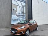 Ford Fiesta 1.5 TDCi 95CV 3 porte Van Entry - Ford Fiesta: Gold