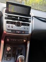 Lexus NX 300 300h - - Lexus aus 2019