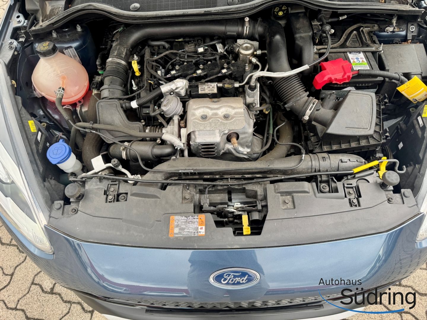 Fiesta 1.0 EcoBoost Active Automatik SHZ