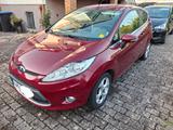 Ford Fiesta 1,25 60kW Trend Trend - Ford Fiesta aus 2010: 1.6