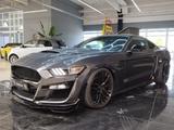Ford Mustang GT Fastback / Performance-Paket / SHELBY - Ford Mustang: Fastback