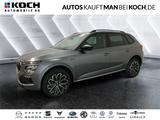 Skoda Kamiq 1.0 TSI DSG Tour AHZV ACC TOTWINKEL BLACK - Skoda Neuwagen in Berlin
