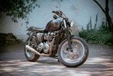 Triumph Bonneville T100 McQueen Custom - TRIUMPH CUSTOM