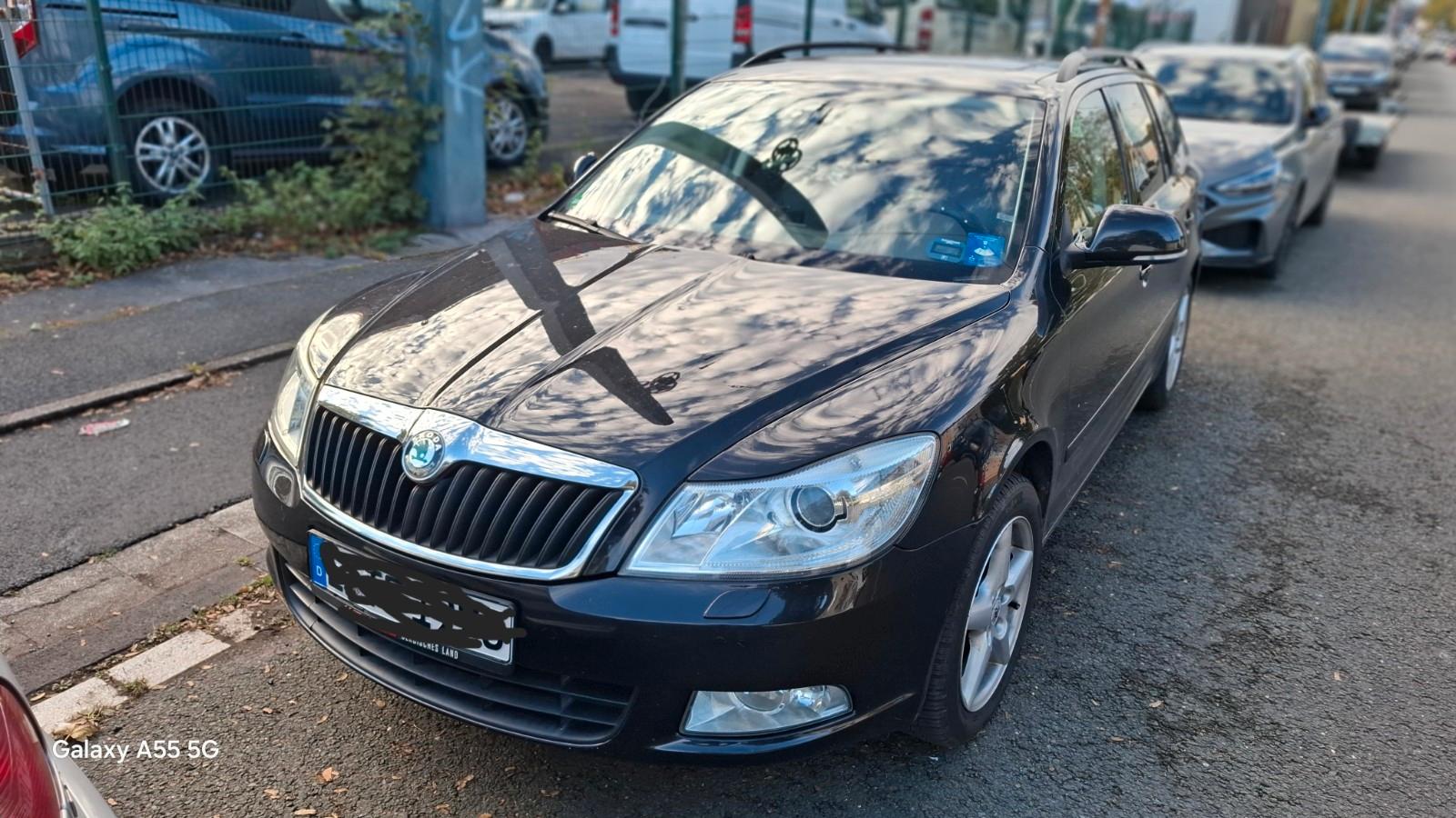 Skoda Octavia 2010 — rear view