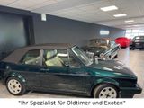 Volkswagen Golf 1 Classic Line Cabrio im Topzustand - Volkswagen Golf Oldtimer mit Benzin-Antrieb: Cabrio