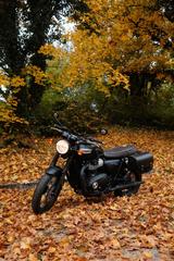 Triumph Bonneville T100 Black - TRIUMPH BONNEVILLE T100 BLACK