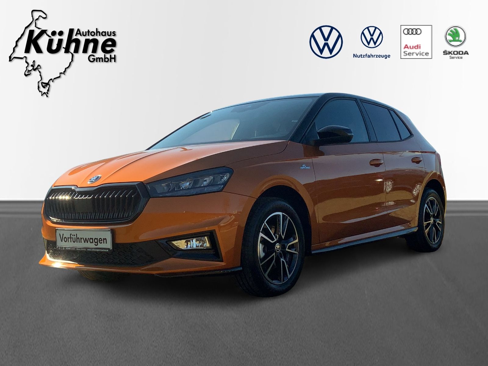 Fabia 1.0 TSI Monte Carlo RFK, LED, SHZ,