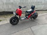 Honda Zoomer - HONDA ZOOMER