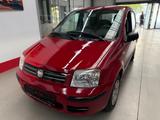 Fiat Panda 1.2 8V Dynamic TÜV Neu - Fiat Panda in Bonn