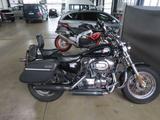 Harley-Davidson Sportster XL1200CC - HARLEY-DAVIDSON SPORTSTER XL 1200