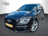 Audi SQ5 3.0 TDI quattro+GLAS+PANO+AHK+NAVI - Audi SQ5 aus 2014
