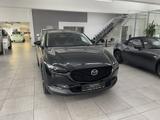Mazda CX-30 2.0 186PS AWD Nagisa Rfk,Bose,Keyless - Mazda CX-30 Nagisa mit Hybrid-Antrieb (Benzin/Elektro)