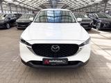 Mazda CX-5 2.2 SKYACTIV-D  184 Sports-Line  - Mazda Gebrauchtwagen von 2023