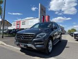 Mercedes-Benz ML 250 CDI BT Sport-Paket Navi FINANZIERUNG - Mercedes-Benz ML 250 mit Diesel-Antrieb