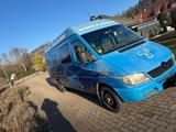 Mercedes-Benz Mercedes Benz sprinter 313 CDI - gebrauchte Mercedes-Benz Sprinter aus dem Jahr 2004