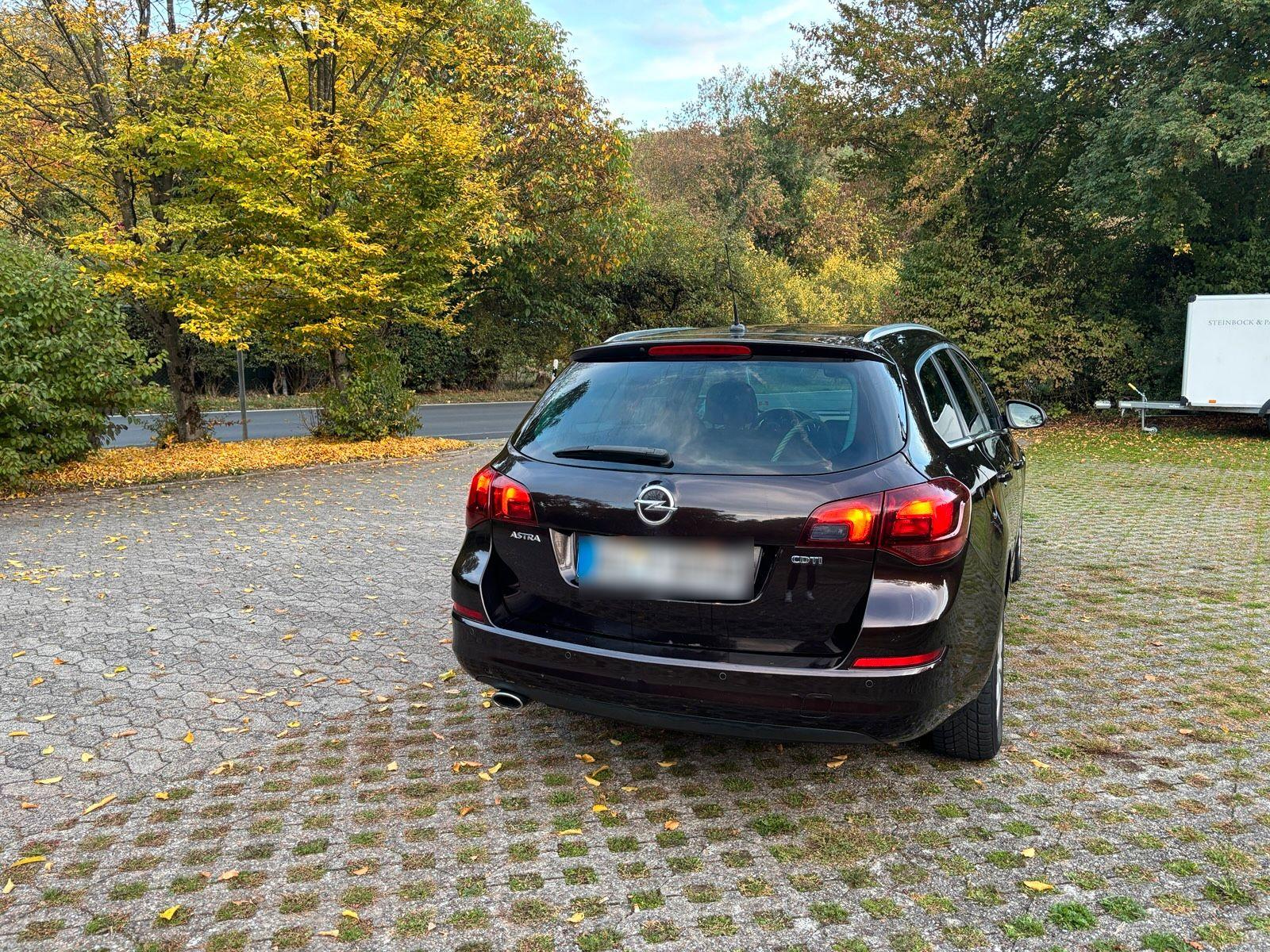 Opel Astra 2011 — rear view