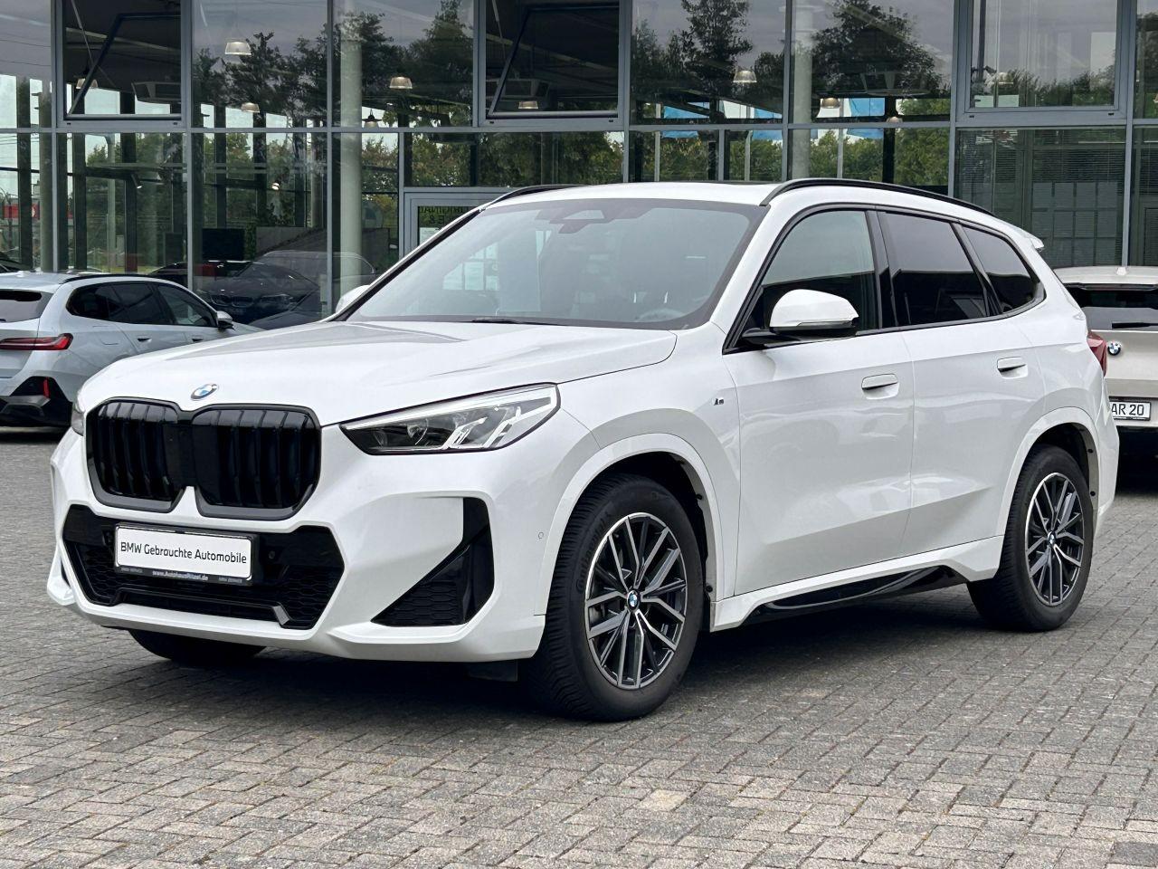 BMW X1 18 i sDrive M Sport / Glasdach / DAB
