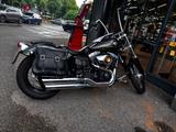 Harley-Davidson FXDWG 103 Dyna Wide Glide  - HARLEY-DAVIDSON DYNA WIDE GLIDE