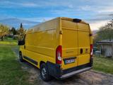 Fiat Ducato - gebrauchte Fiat Ducato aus dem Jahr 2017