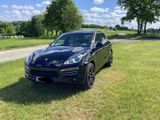 Porsche Cayenne Platinum Edition Tiptronic  - Porsche mit Benzin-Antrieb: Leder