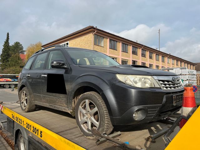 Subaru Forester Comfort