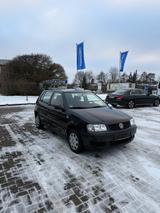 Volkswagen Polo 1.4 44kW Basis Basis - Volkswagen Polo aus 2000: 1.4