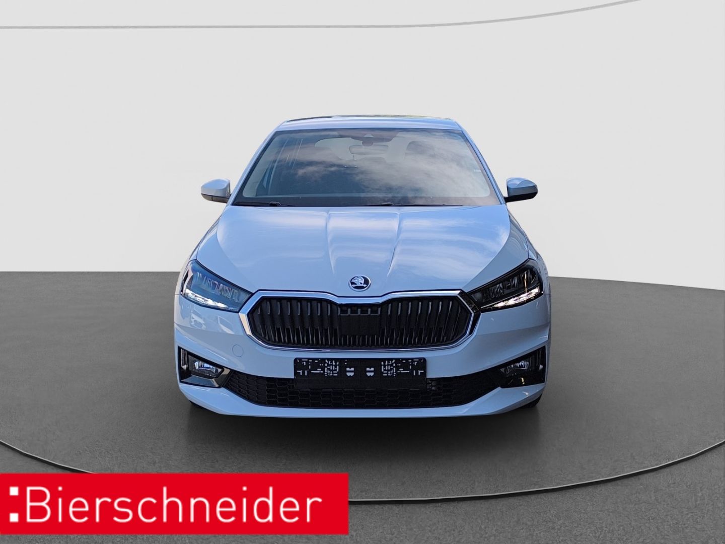 Skoda Fabia 1.0 MPI Selection LED PDC RFK imagem 2