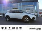 Peugeot 3008 Crossway 130 EAT8 Full-LED SHZ Navi - Peugeot in Berlin: 1.8