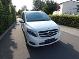 Mercedes-Benz V 220 AVANTG. LED Burmester Standheiz Liege-Pak. - Mercedes-Benz V-Klasse Gebrauchtwagen in Dresden