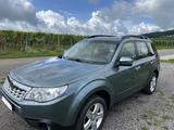 Subaru Forester 2.0X Comfort Automatik Comfort - Subaru Forester: Grün