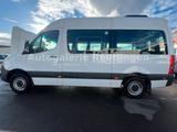 Mercedes-Benz Sprinter III Kasten RWD/AWD 311/315/317/319 CDI - Mercedes-Benz Sprinter cdi 311