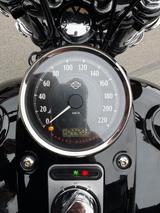 Harley-Davidson  Street/FatBob  - Motorräder in Bremen