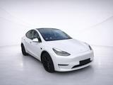 Tesla Model Y Long Range Dual Motor 82 kWh WPU/ACC/Pan - gebrauchte Tesla Model Y aus dem Jahr 2023