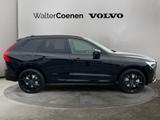 Volvo XC60 T8 AWD Plug-in Hybrid Plus Black Edition, - Volvo XC60 in Mönchengladbach
