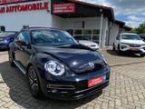 Volkswagen Beetle Allstar BMT 1.2 TSI / NAVI/ Kamera/ Leder - Volkswagen Beetle: Allstar