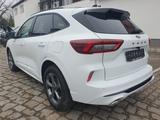 Ford Kuga 2.5 ST-Line X  Autom.Ahkpl. Panorama - Ford Kuga: 2.5