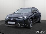 Lexus UX 250h Style+ Ed. SHZ ACC ALUFELGEN 18 ZOLL WKR - Lexus: 1s250