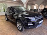 Land Rover Range Rover Evoque 2.2 SD4 Pure - Land Rover Range Rover: 4.2