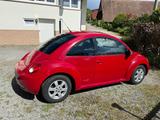 Volkswagen Beetle - gebrauchte VW Beetle aus dem Jahr 2009
