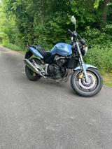 Honda CBF600 top gepflegt TÜV 09/26 - HONDA 2004 CBF600