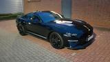 Ford Mustang Bj.2020 5.0  55 er Edition - Ford Mustang: Edition