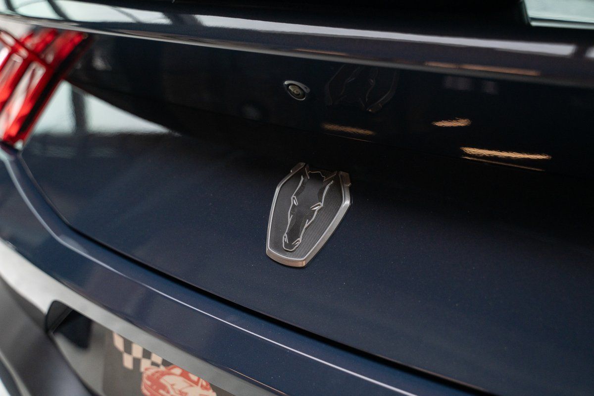 Ford Mustang (MUSTANG Dark Horse RECARO/Spoiler groß/1.Hand/CO)