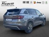 Skoda Kodiaq 2.0 TDI 142kW 4x4 Selection EU6e*7Sitzer* - Skoda: Standheizung