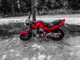 Suzuki Bandit 600 - Offers