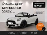 MINI COOPER Cabrio JCW* 1. Hd. * Sitzheizung* Carplay - MINI Cooper aus 2019